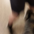 This happened at my school recently