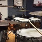 Piggy groove