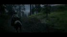 Has anyone ever been struck by lightning? Am I the only one?