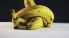 Banana flops
