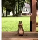 Dat butt cracker got moves