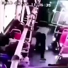 Annoying little shit