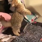 My ball!!