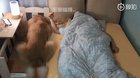 The bed is too small!