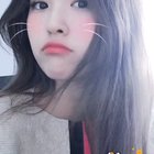 bunny filter