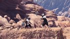 Grimalkynes' battle tendencies