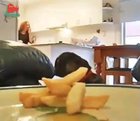 Sneak level 10/10