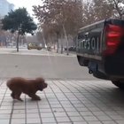 She seems proud of herself
