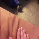 No you come here