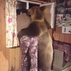 Watchu got there buddy credit u/amy2kim22