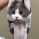Are we done yet?