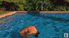 Amanda Cerny by the pool