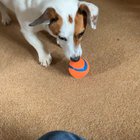 This is Jack