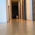 Here he comes