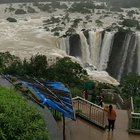 Jog falls, Karnataka (Source : @muralimohanpm on Instagram)