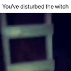 Mountain lions really be sounding like the witch from Left 4 Dead. Imagine this fucking creepy sound at night