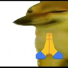 Mods asleep, Upvote Worship dog
