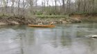 A dog saving a canoe full of other dogs