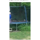 Cat Party! Cats only
