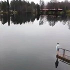 Watch it upside down.