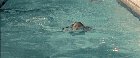 Denise Richards in Wilds Things (Bikini)